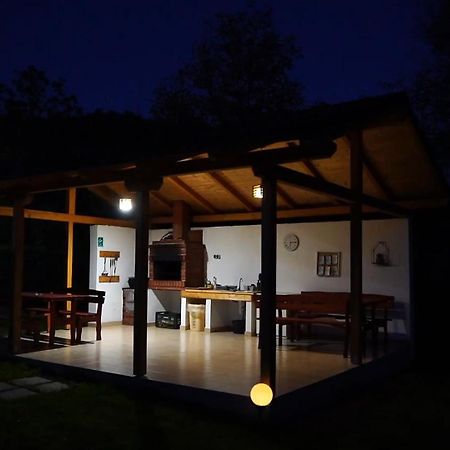Guest House Carpathia Vişeu de Sus Exteriör bild