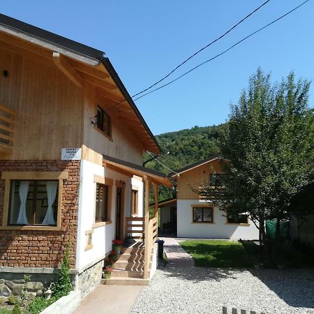 Guest House Carpathia Vişeu de Sus Exteriör bild