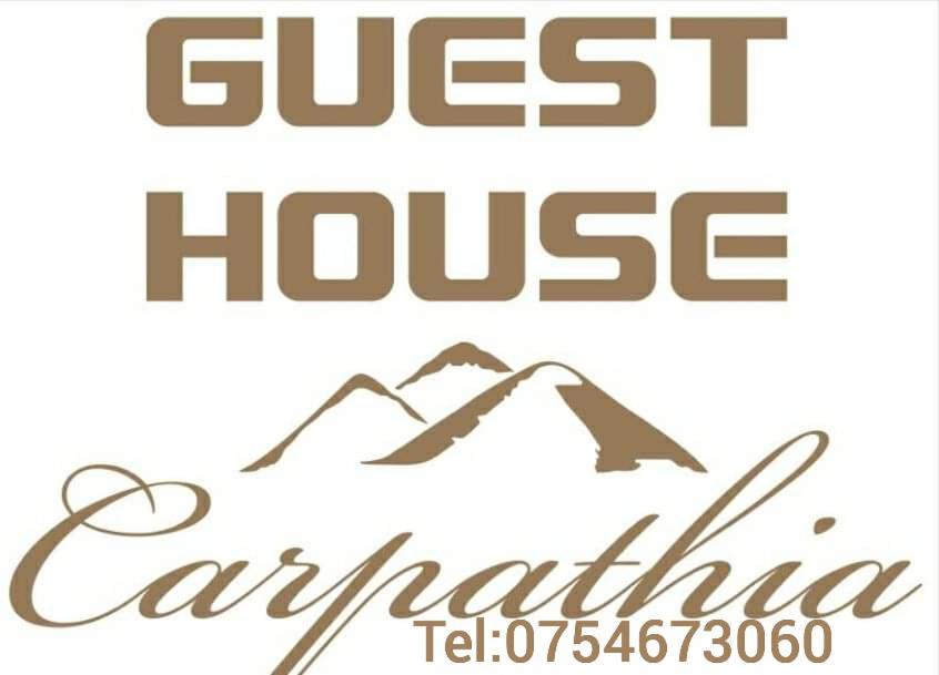 Guest House Carpathia Vişeu de Sus Exteriör bild