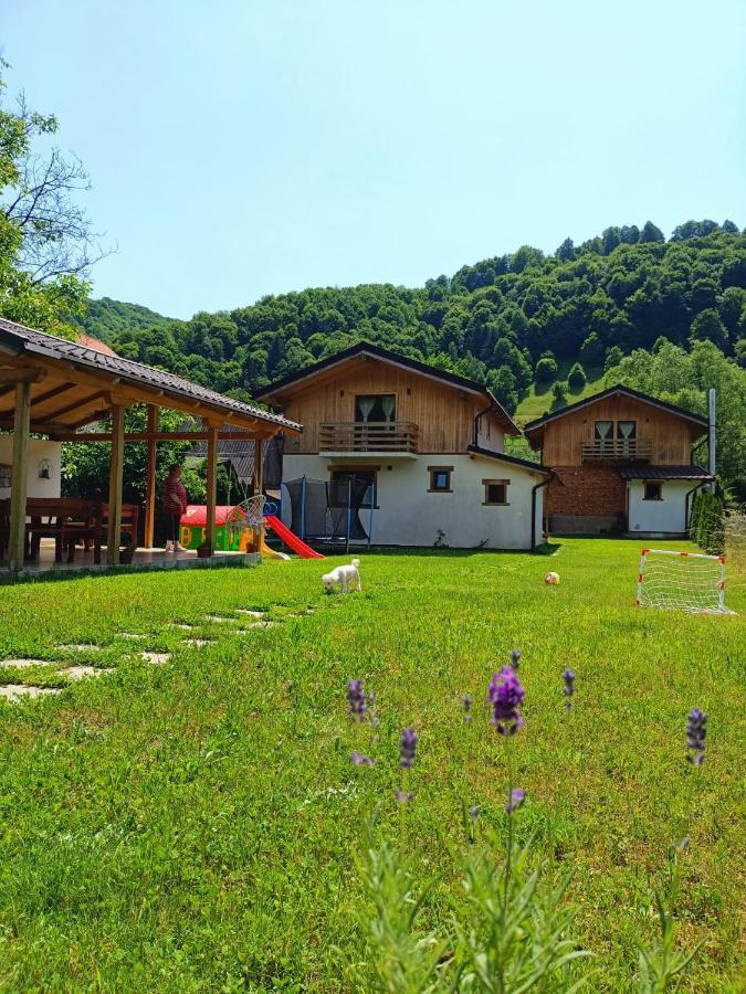 Guest House Carpathia Vişeu de Sus Exteriör bild