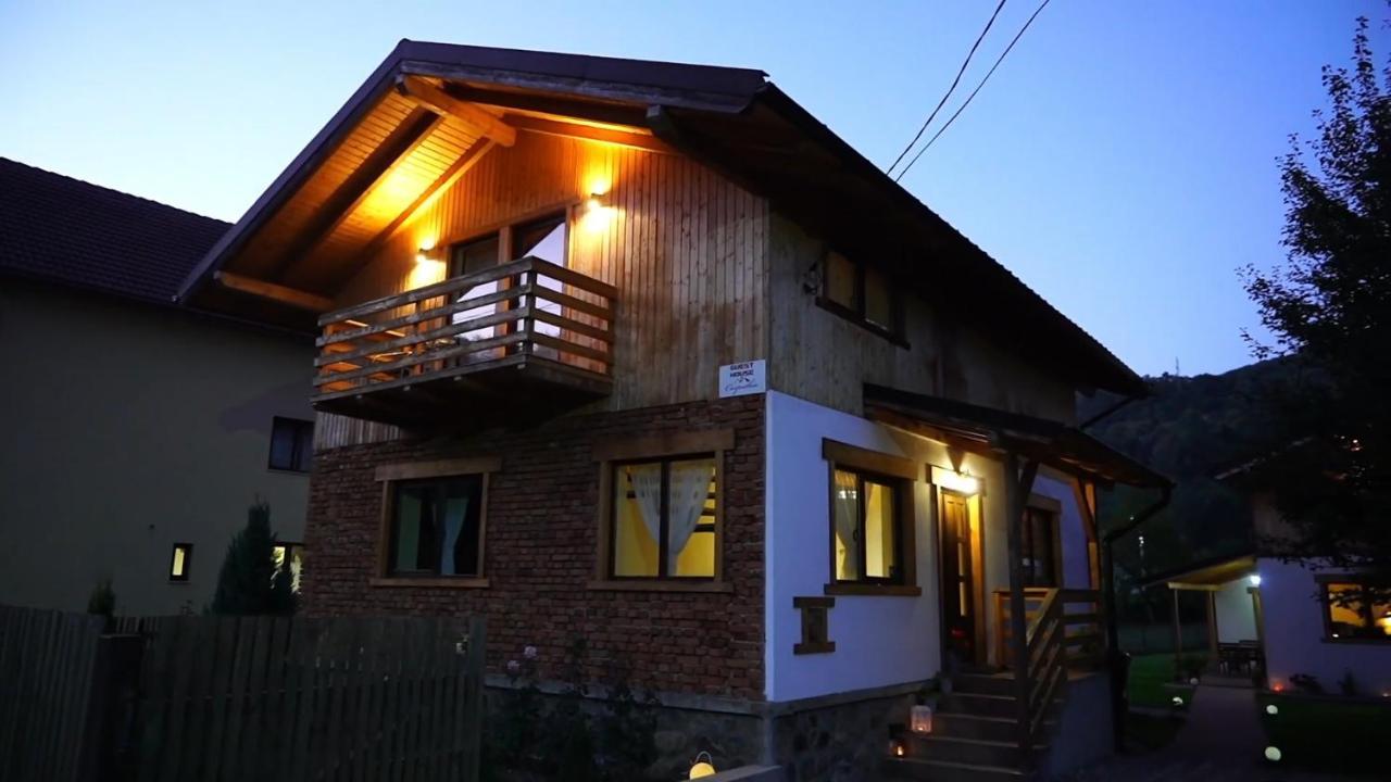 Guest House Carpathia Vişeu de Sus Exteriör bild