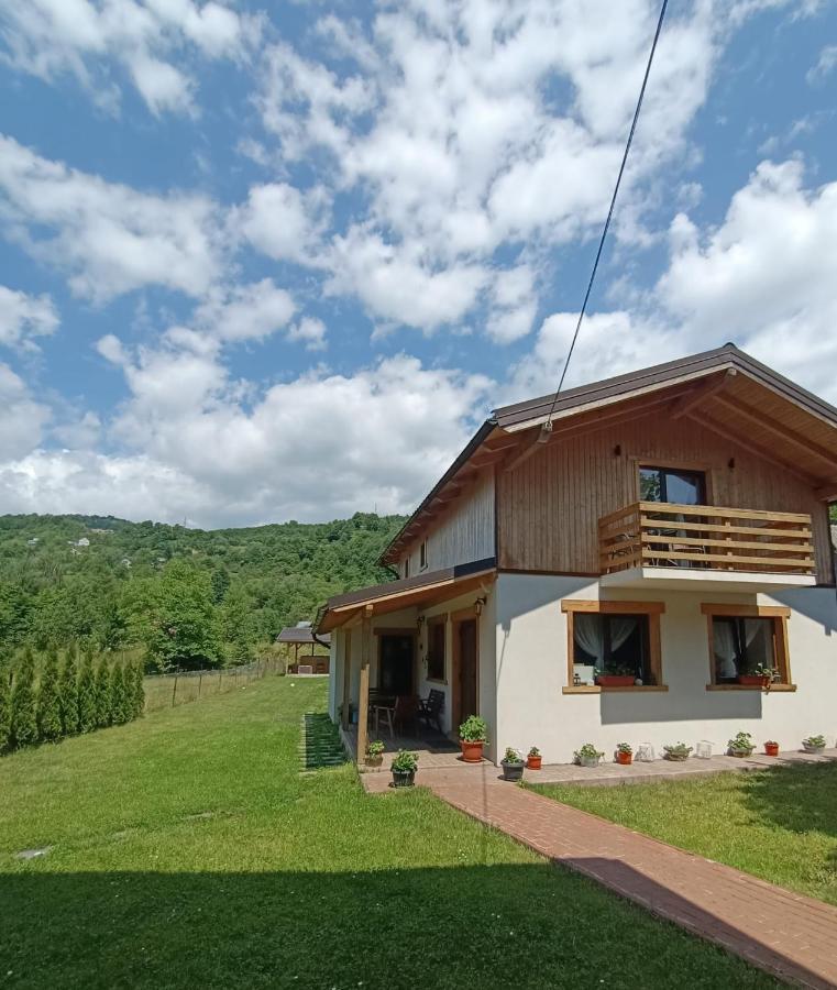 Guest House Carpathia Vişeu de Sus Exteriör bild