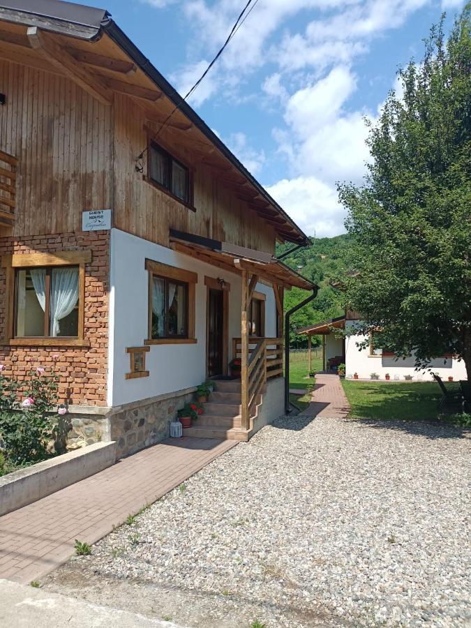 Guest House Carpathia Vişeu de Sus Exteriör bild
