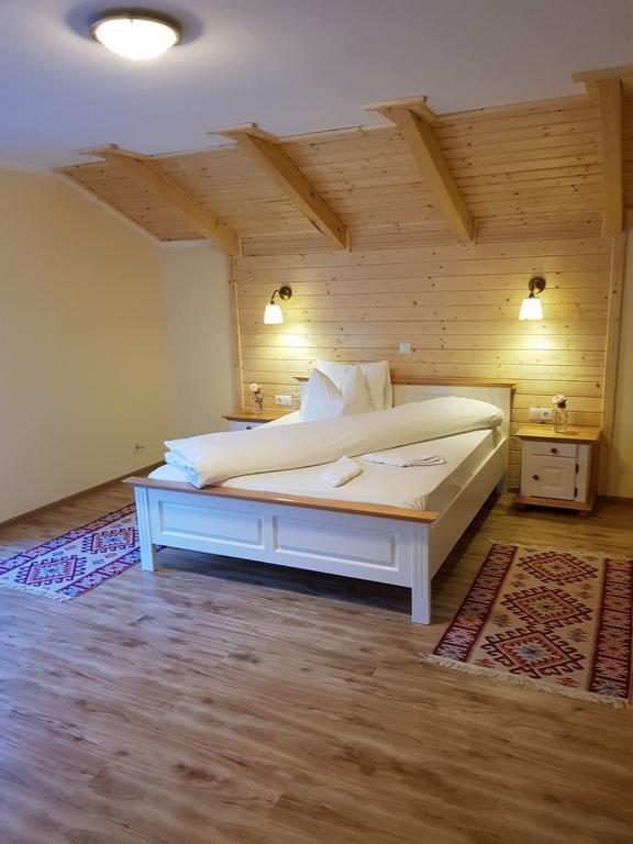 Guest House Carpathia Vişeu de Sus Exteriör bild
