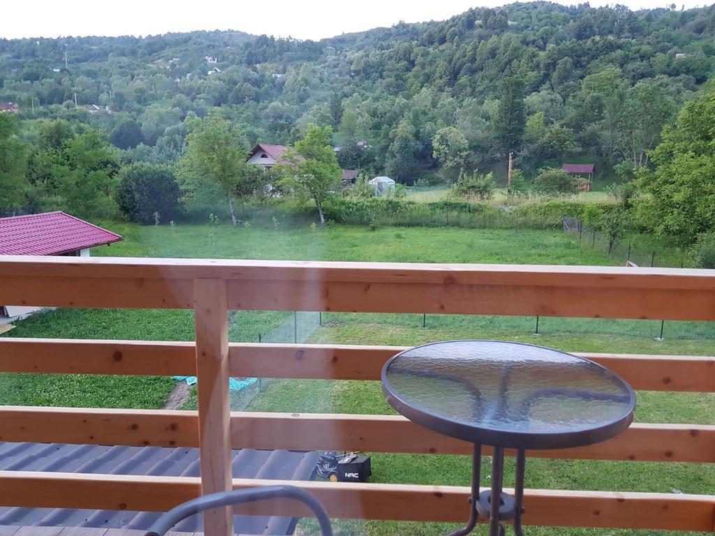 Guest House Carpathia Vişeu de Sus Exteriör bild