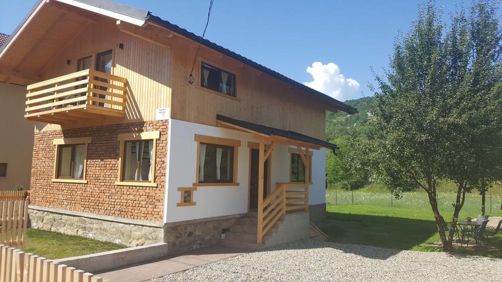 Guest House Carpathia Vişeu de Sus Exteriör bild