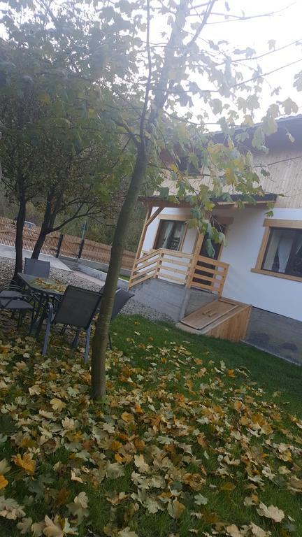 Guest House Carpathia Vişeu de Sus Exteriör bild