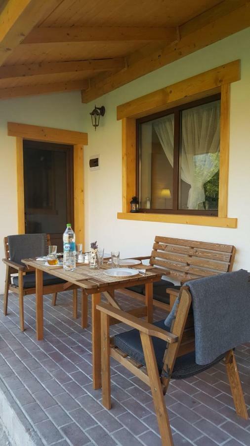 Guest House Carpathia Vişeu de Sus Exteriör bild