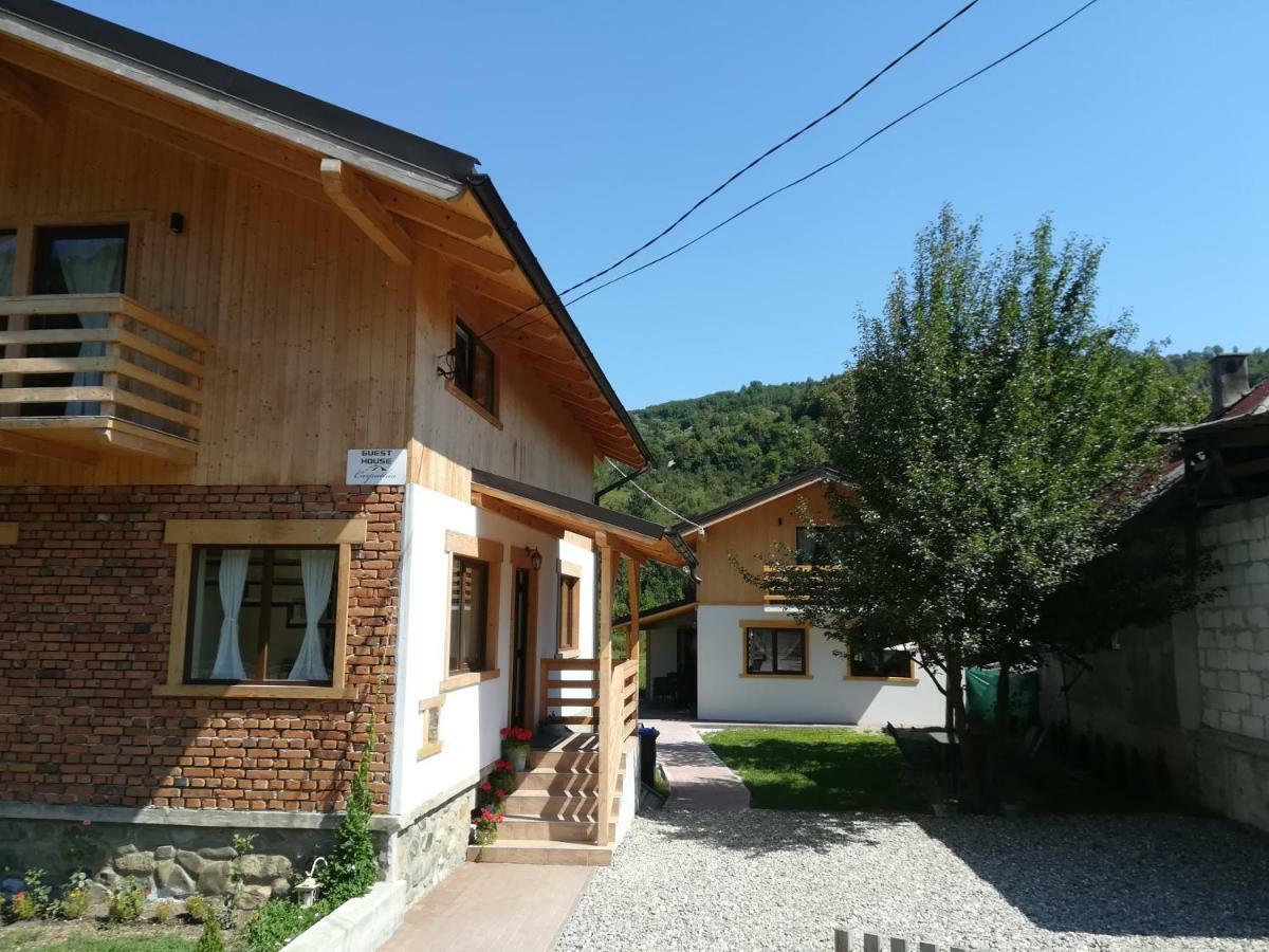 Guest House Carpathia Vişeu de Sus Exteriör bild
