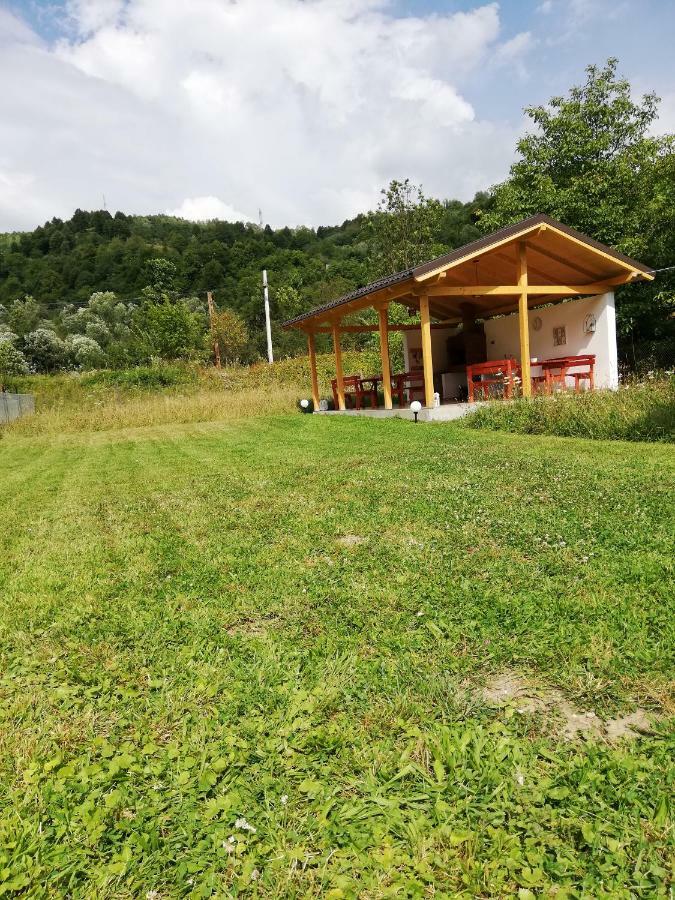 Guest House Carpathia Vişeu de Sus Exteriör bild